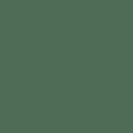 Mission Models - Acrylic Model Paint 1 oz bottle, Field Grey RLM 80 - Hobby Recreation Products