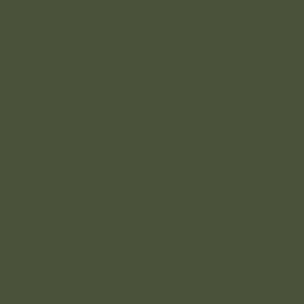 Mission Models - Acrylic Model Paint 1 oz Bottle, Russian Dark Olive FS 34102 - Hobby Recreation Products