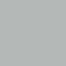 Mission Models - Acrylic Model Paint 1 oz Bottle, Silver - Hobby Recreation Products
