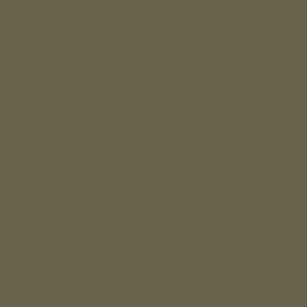 Mission Models - Acrylic Model Paint 1 oz Bottle, US Army Khaki Drab OD FS 34088 - Hobby Recreation Products